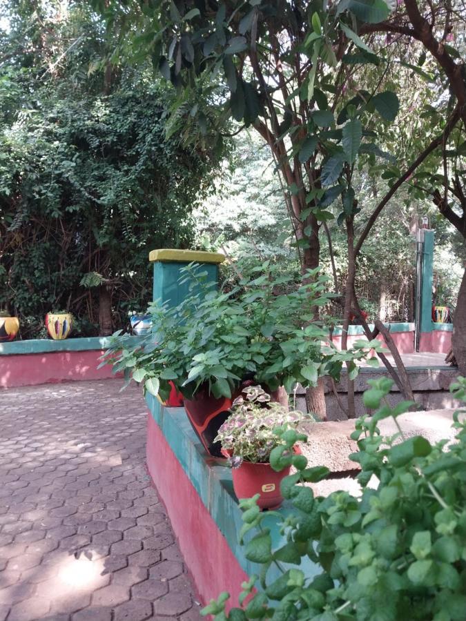 Green Garden Guest House Аруша Экстерьер фото